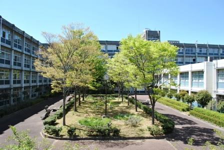 高校・高専　兵庫県立　川西明峰高等学校（高校・高専）まで1034m