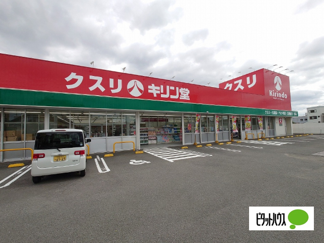 ドラックストア　キリン堂藍住徳命店（ドラッグストア）まで743m