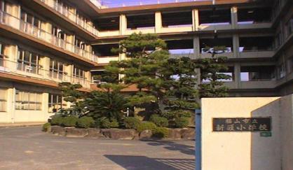 小学校　新涯小学校（小学校）まで505m