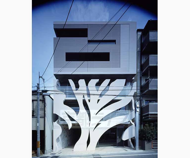 エントランス　木と癒しをイメージしました。