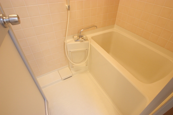 バス・シャワールーム　※別部屋の写真です