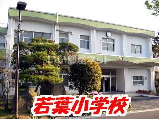 小学校　若葉小学校（小学校）まで721m