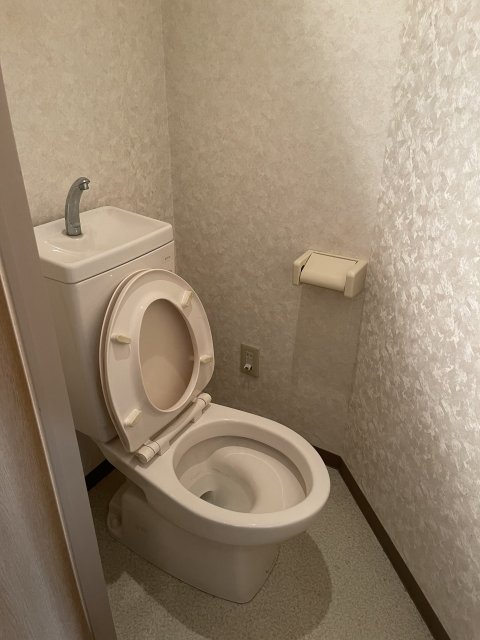 トイレ　同物件別号室の写真です。