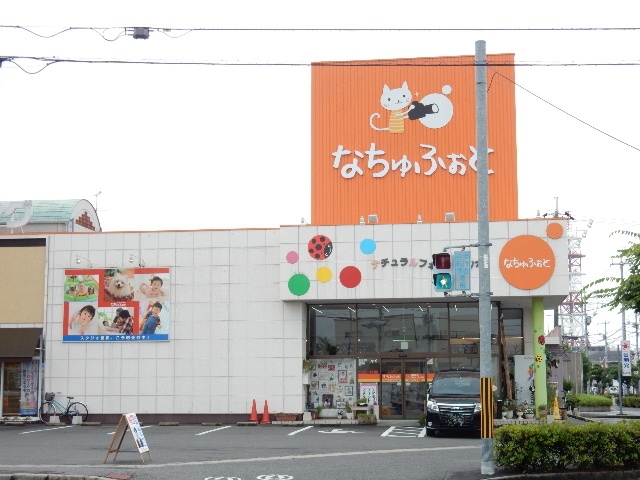 その他　なちゅふぉと（その他）まで260m