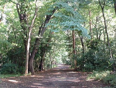 公園　三貫清水緑地（公園）まで4150m