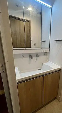 洗面設備　別部屋の写真を使用しております。