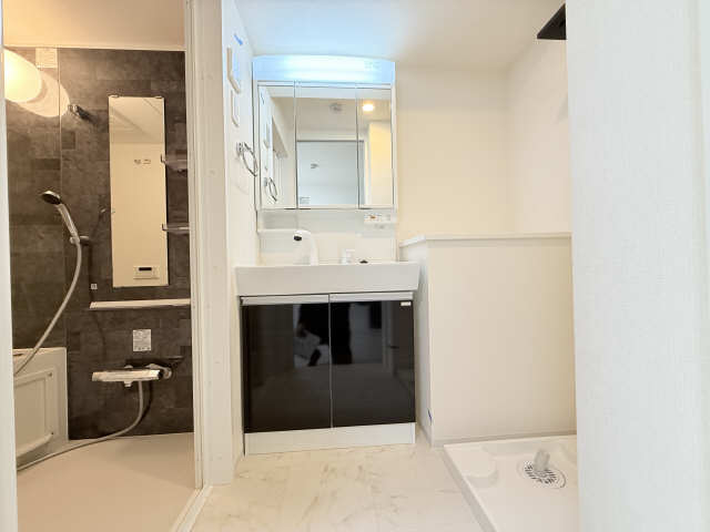 洗面設備　同一タイプです。