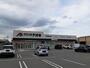 ドラックストア　クスリのアオキ 久世築山店（ドラッグストア）まで700m
