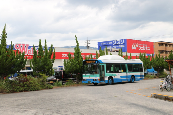 ドラックストア　ドラッグストアウェルネス川津店（ドラッグストア）まで1101m