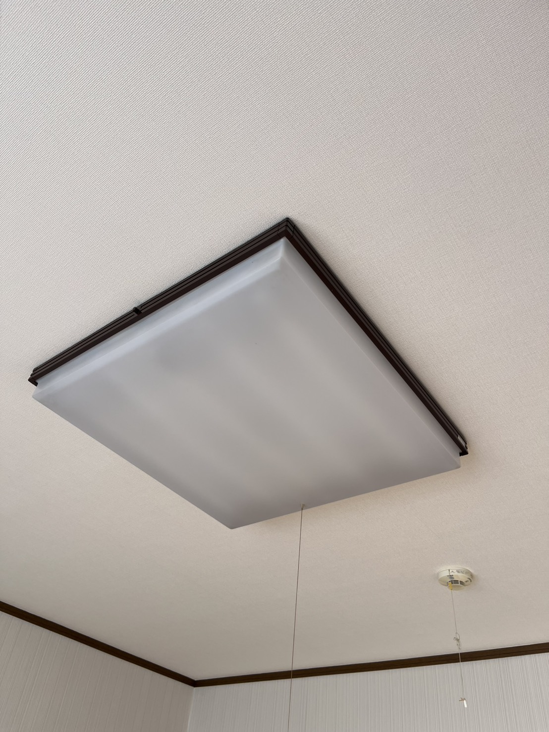 その他　照明付