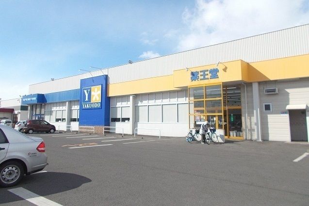 ドラックストア　薬王堂 城西店（ドラッグストア）まで900m