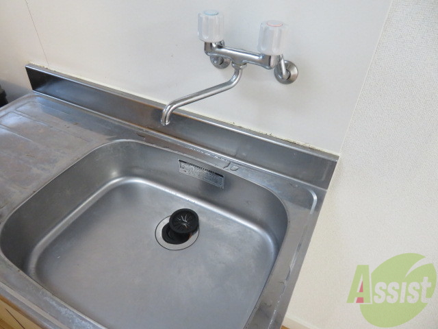 洗面設備　洗面台は設置されておりませんので、シンクを撮影しました。