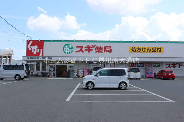 ドラックストア　スギ薬局豊橋中浜店（ドラッグストア）まで697m