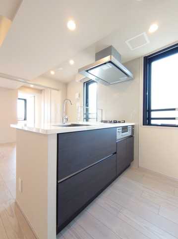 キッチン　ザ・パークハビオ新高円寺