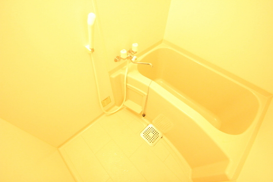 バス・シャワールーム　※別部屋の写真です