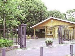 公園　目白の森（公園）まで283m