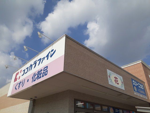 ドラックストア　ココカラファイン道明寺店様（ドラッグストア）まで775m
