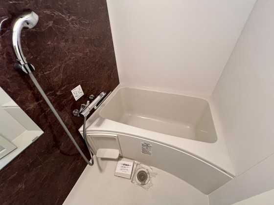 バス・シャワールーム　※別部屋の写真です