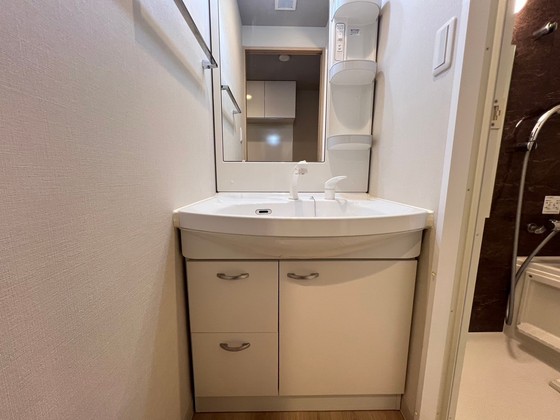 洗面設備　※別部屋の写真です
