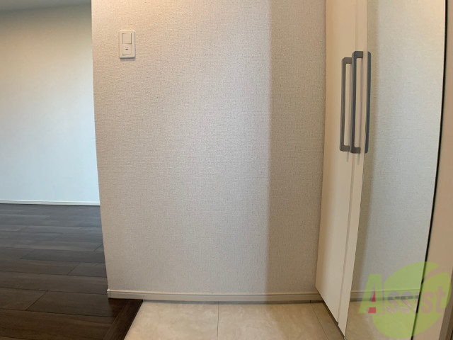 玄関　玄関の様子です。広い洋室にすぐ繋がっています。