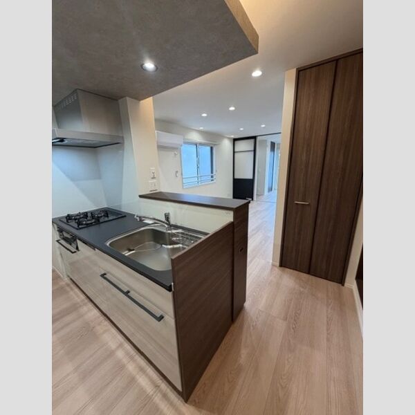 キッチン　対面システムキッチン(食器洗浄機付き)