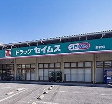 ドラックストア　ドラッグセイムス蘇我店（ドラッグストア）まで419m