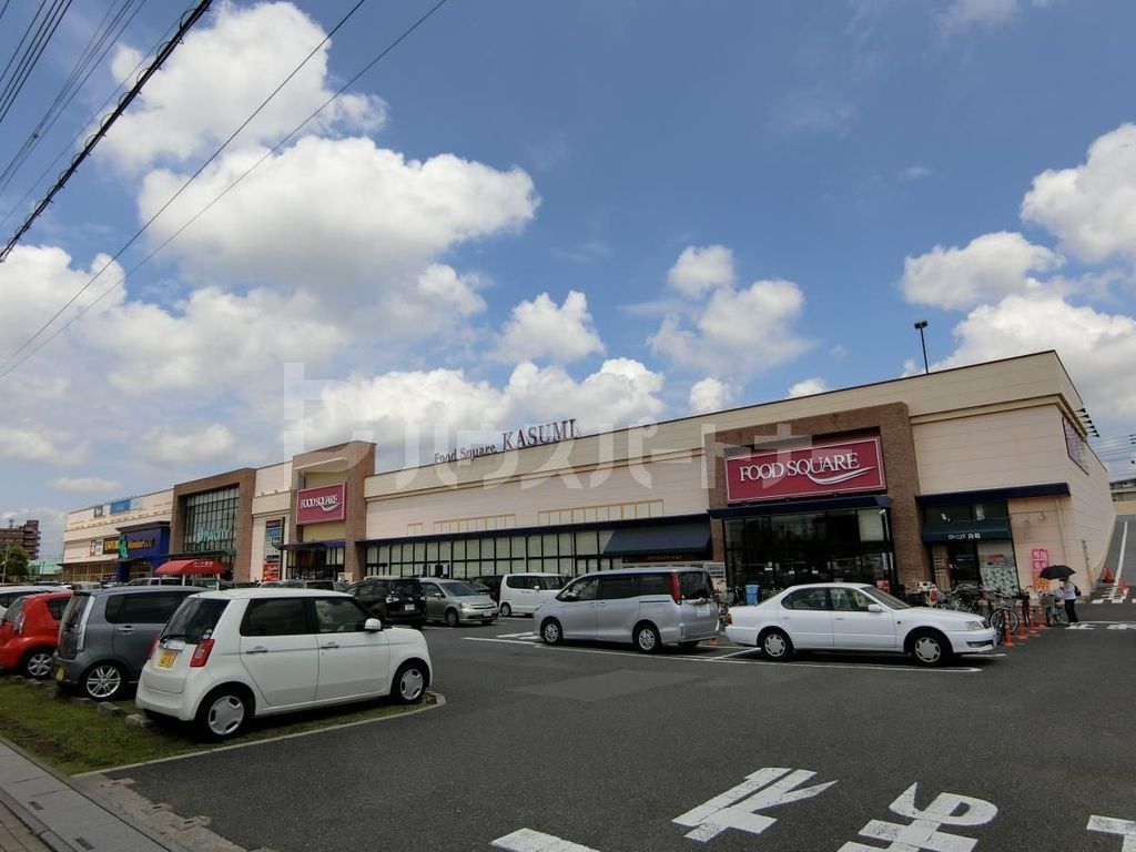 スーパー　カスミフードスクエア南越谷店（スーパー）まで330m