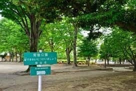 公園　常盤公園（公園）まで847m