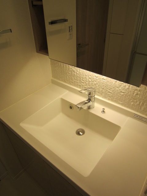 洗面設備　（別タイプ参考写真）パークリュクス本駒込ステーションプレミア