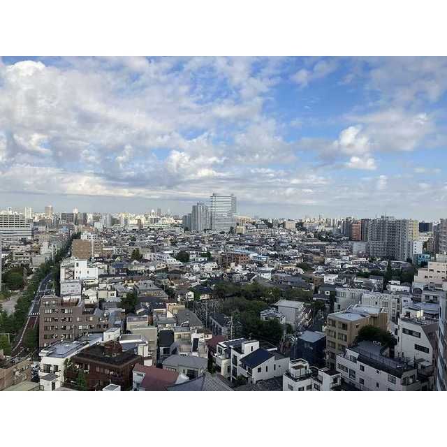 眺望　（別タイプ参考写真）パークリュクス本駒込ステーションプレミア