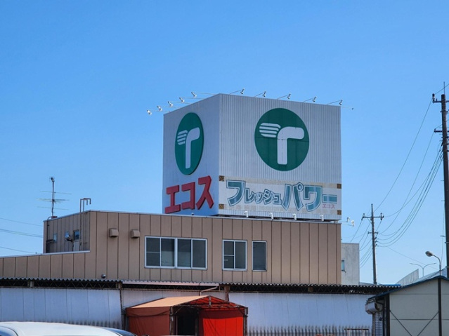 スーパー　エコス木野目店（スーパー）まで381m