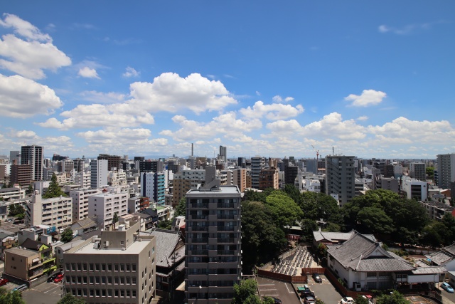 眺望　写真流用