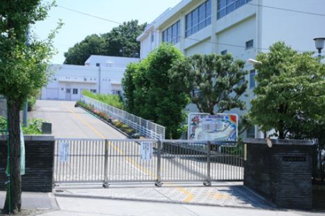 小学校　横浜市立藤が丘小学校（小学校）まで742m