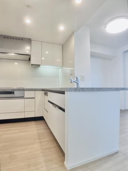 キッチン　Ｂｒｉｌｌｉａ大山町　板橋区大山町