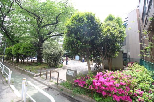 公園　四ッ又公園（公園）まで1047m