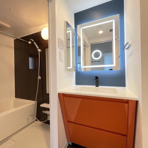 洗面設備　同仕様タイプです