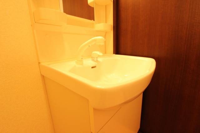 洗面設備　シャンプードレッサー付き。