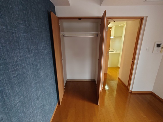 収納　※別部屋の写真です