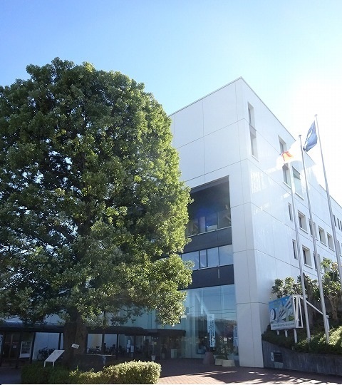 役所　武蔵村山市役所（役所）まで1300m