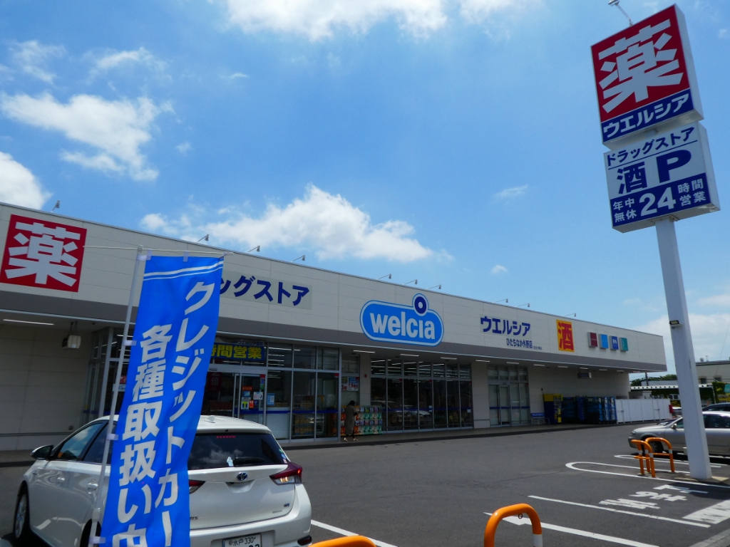 ドラックストア　ウエルシアひたちなか外野店（ドラッグストア）まで492m