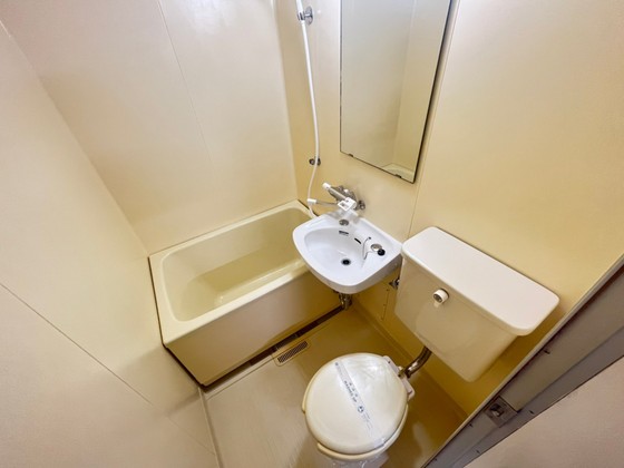 バス・シャワールーム　※別部屋の写真です