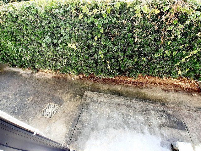 庭　お庭も活用できます