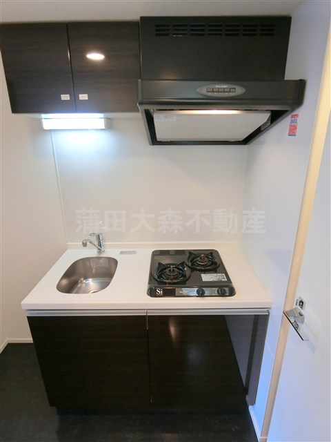 キッチン　2口ガスシステムキッチン