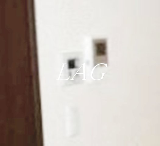 セキュリティ　モニター付きインターホンになります。