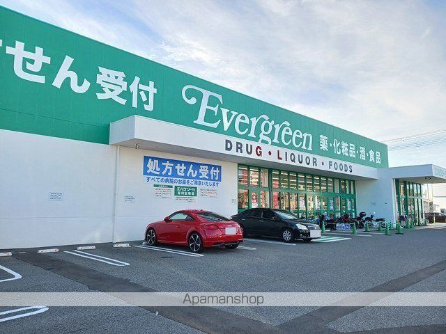 ドラックストア　エバグリーン紀三井寺店様（ドラッグストア）まで750m