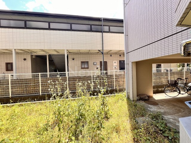 庭