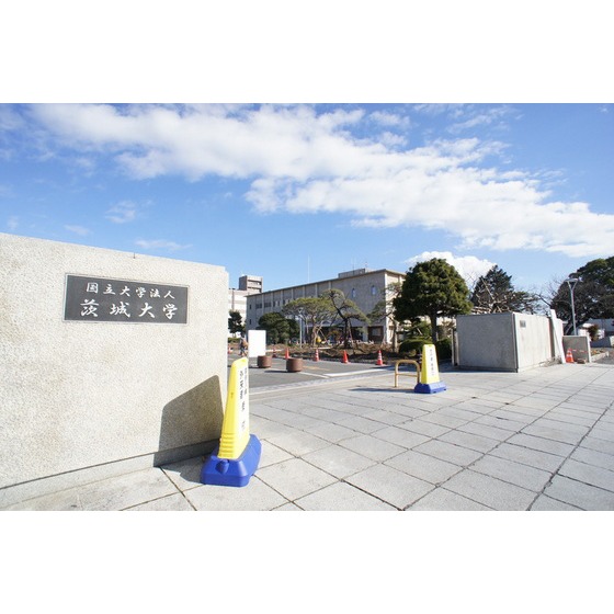 大学・短大　国立茨城大学（大学・短大）まで418m