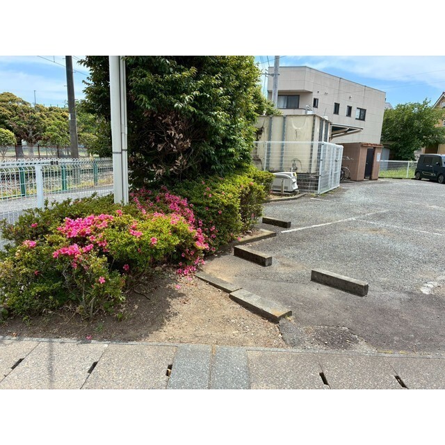 庭