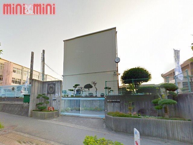 小学校　神戸市立木津小学校（小学校）まで355m
