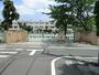小学校　世田谷区立尾山台小学校（小学校）まで653m